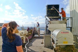 the grapes go in to the crusher